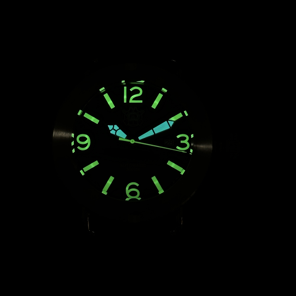 Steeldive 2025 Watch SD1912 Ov - Seiko Watch Prospex recension och pris